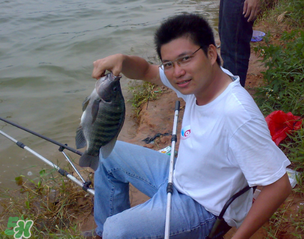 谷雨怎么釣魚？谷雨前后釣魚技巧