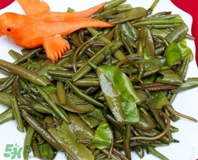 莼菜是什么菜？莼菜是荷葉嗎？