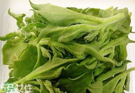 ?冰菜多少錢一斤？? 今年冰菜多少錢一斤？