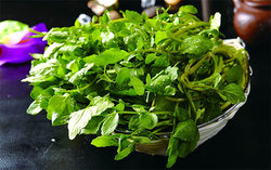 西洋菜怎么摘洗？西洋菜怎么洗才干凈