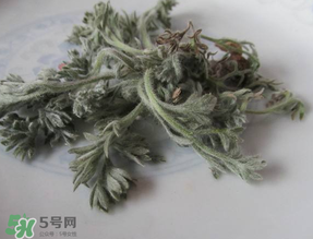 白蒿能治黃疸嗎？白蒿水可以治黃疸嗎？