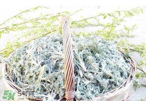 白蒿要焯水嗎？白蒿要不要焯水？