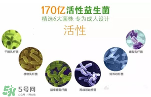 益生菌哪個牌子好？哪個牌子的益生菌好？