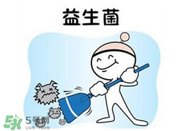 益生菌哪個牌子好？哪個牌子的益生菌好？