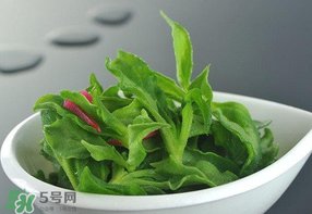 冰草可以放冰箱嗎？冰草能用冰塊保存嗎？