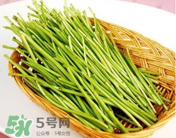 蘆蒿與茼蒿有什么區(qū)別？蘆蒿和茼蒿的區(qū)別