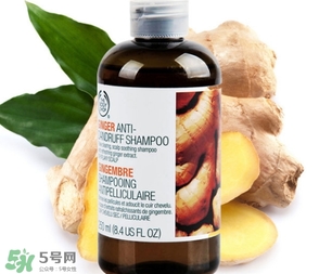 美體小鋪生姜洗發(fā)水怎么樣？the body shop生姜洗發(fā)水使用心得