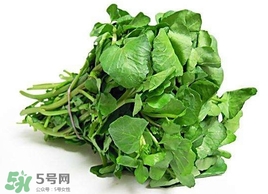 哺乳期能吃西洋菜嗎？哺乳期可以吃西洋菜嗎