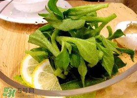 冰草用什么醬？冰草用什么醬好吃？