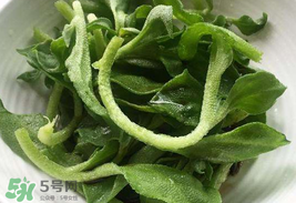 冰菜為什么會酸？冰菜為什么是咸的？