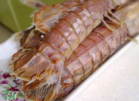 蝦爬子能冷凍嗎？蝦爬子可以冷藏嗎？