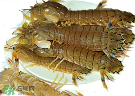 蝦爬子能冷凍嗎？蝦爬子可以冷藏嗎？