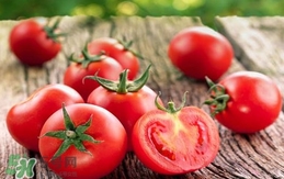 西紅柿是生吃好還是熟吃好？西紅柿吃生的好還是熟的好