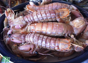 皮皮蝦用涼水還是熱水？煮皮皮蝦涼水還是開(kāi)水？