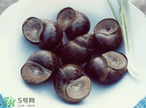 田螺不能和什么一起吃？田螺和什么不能一起吃？