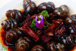 田螺不能和什么一起吃？田螺和什么不能一起吃？