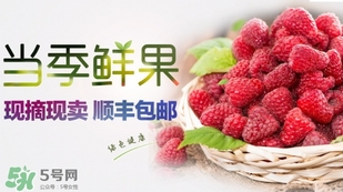 刺泡是覆盆子嗎？刺泡和覆盆子的區(qū)別
