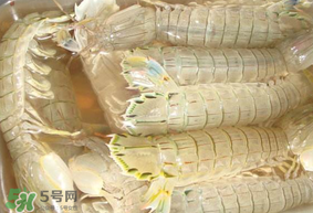 蝦爬子綠色怎么回事？蝦爬子變黑還能吃嗎？