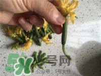 黃瓜花能吃嗎？黃瓜花怎么吃