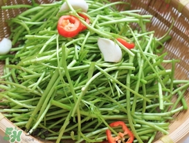 泥蒿怎么做好吃？泥蒿做法