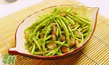 蘆蒿與茼蒿有什么區(qū)別？蘆蒿和茼蒿的區(qū)別