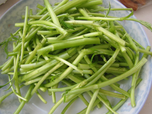 蘆蒿是發(fā)物嗎？蘆蒿是不是發(fā)物