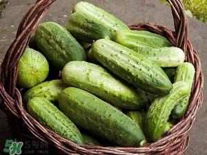 黃瓜根能吃嗎？黃瓜根可以吃嗎？