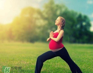 孕婦能吃雞精嗎？孕婦能吃雞精和味精嗎？
