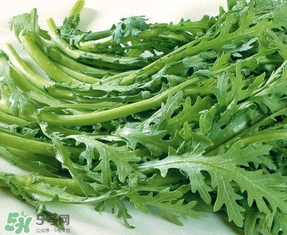 蘆蒿與茼蒿有什么區(qū)別？蘆蒿和茼蒿的區(qū)別