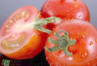 西紅柿是生吃好還是熟吃好？西紅柿吃生的好還是熟的好