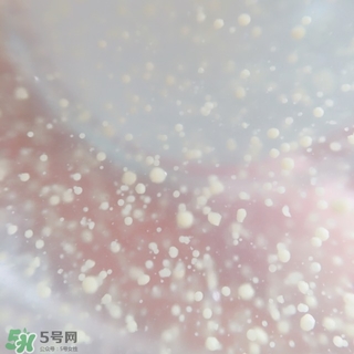資生堂悅薇和怡麗絲爾哪個(gè)好？資生堂悅薇和怡麗絲爾對(duì)比