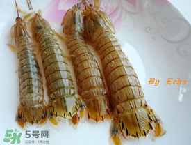 蝦爬子能放多久？蝦爬子怎么保存時(shí)間長(zhǎng)？