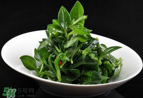 冰草是田七嗎？冰草和田七一樣嗎？