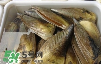 青口貝如何清洗？青口貝怎么處理