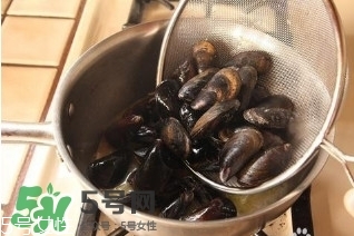 青口貝如何清洗？青口貝怎么處理