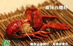 蝦子怎么吃？蝦子的吃法