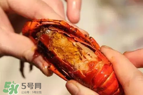 蝦子哪些部位不能吃？蝦子哪些地方不能吃