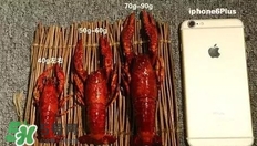 蝦子怎么吃？蝦子的吃法