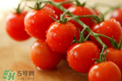 小番茄怎么洗？小番茄怎么清洗