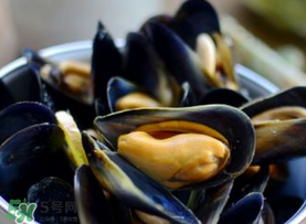 海虹里面的黑包能吃嗎？海虹里面的黑的能吃嗎？