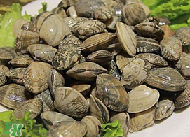 蜆子不能和什么一起吃？吃蜆子不能吃什么？