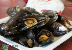 淡菜什么時候最肥？淡菜什么時候吃最好？