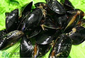 哪些人不適合吃淡菜？淡菜什么人不能吃？