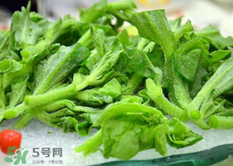 冰菜孕婦能吃嗎？孕婦能不能吃冰菜？