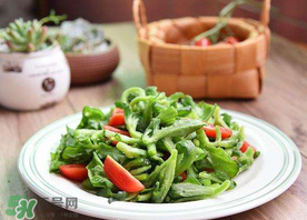 冰菜怎么涼拌？冰菜可以用沙拉醬拌嗎？