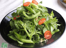 冰菜怎么涼拌？冰菜可以用沙拉醬拌嗎？