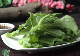 冰菜可以生吃嗎？冰菜能生吃嗎？