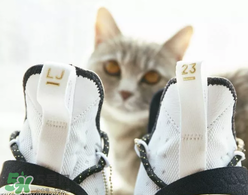 nike lebron 14怎么樣？耐克lebron 14測(cè)評(píng)