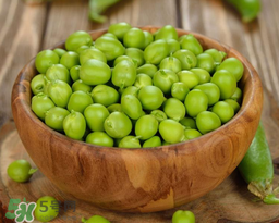 豌豆不能和什么一起吃？豌豆和什么不能一起吃？