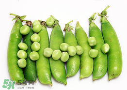 豌豆不能和什么一起吃？豌豆和什么不能一起吃？